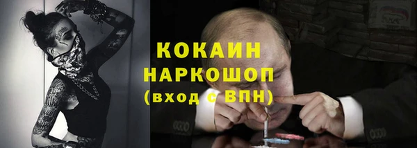 дживик Алзамай