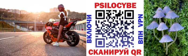 Купить закладки  Себеж  Псилоцибиновые грибы GOLDEN TEACHER 